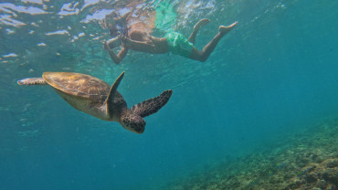 Snorkelling Trips with SeaOman in Al Mouj Snorkelling Trips with SeaOman in Al Mouj