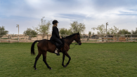 Sunset Horse Riding at Al Marmoom Oasis with a 6-Course Bedouin Dinner