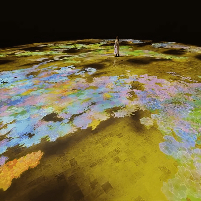 أنشطة داخلية