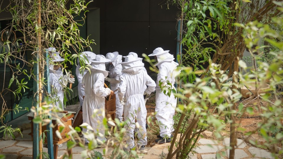 Terra’s Novice Beekeeping Course at Expo City Dubai 2026 United Arab Emirates