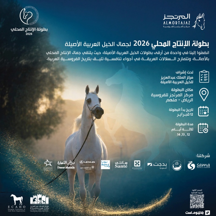 المهرجانات