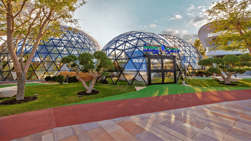 The Butterfly Garden