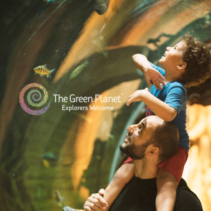 أنشطة داخلية