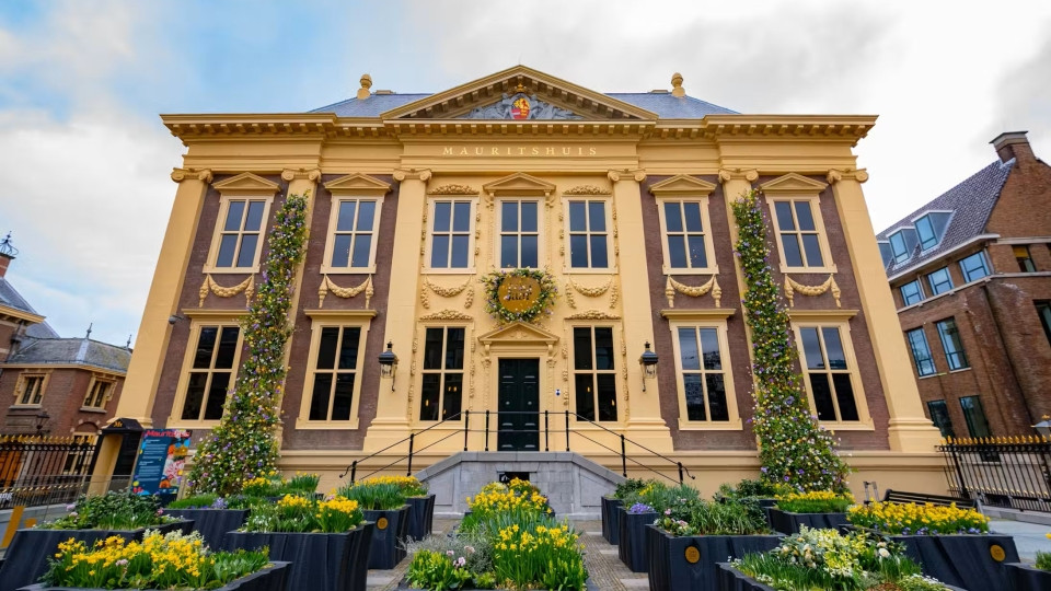 The Hague: Mauritshuis Entrance Ticket