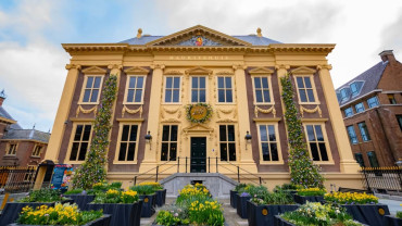 The Hague: Mauritshuis Entrance Ticket