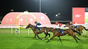 The Terrace Est. 1977