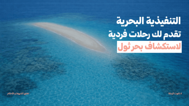 Thuwal Adventure | An exploratory sea trip from Thuwal – snorkeling and a chance to see dolphins