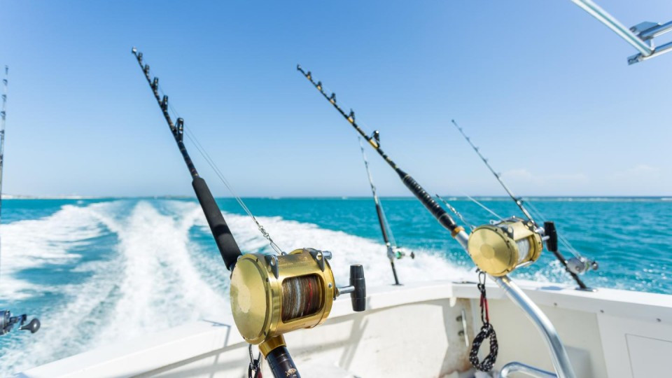 Trolling in Ocean for Big Fish