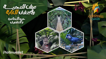 TROPICALLAND