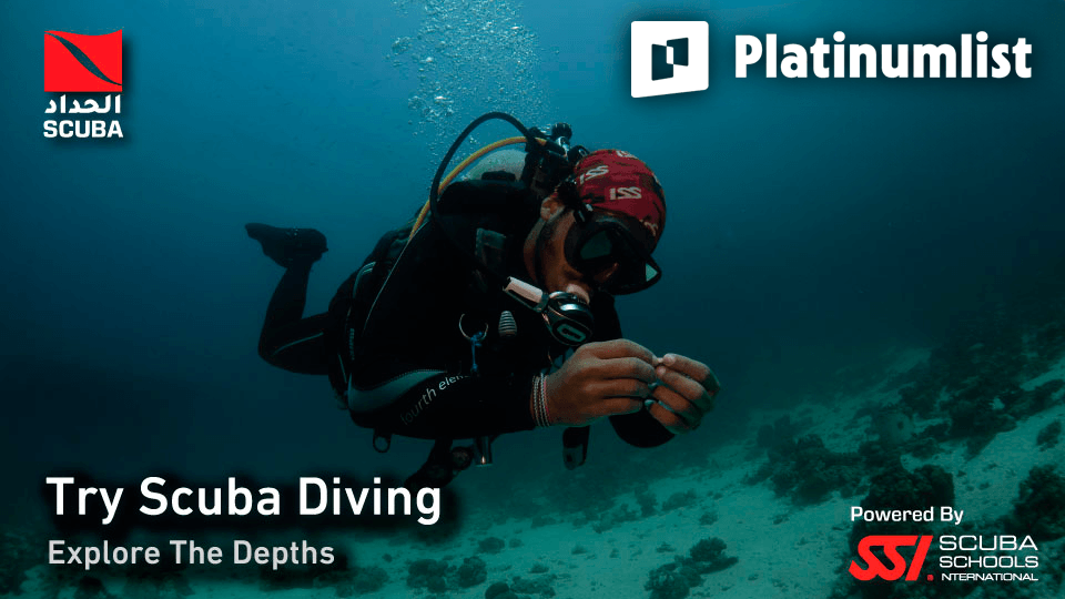 Try Scuba Diving in Jeddah