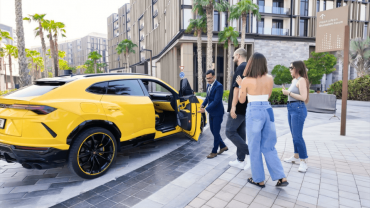 Ultra - Luxury City Tour with Private Chauffeur