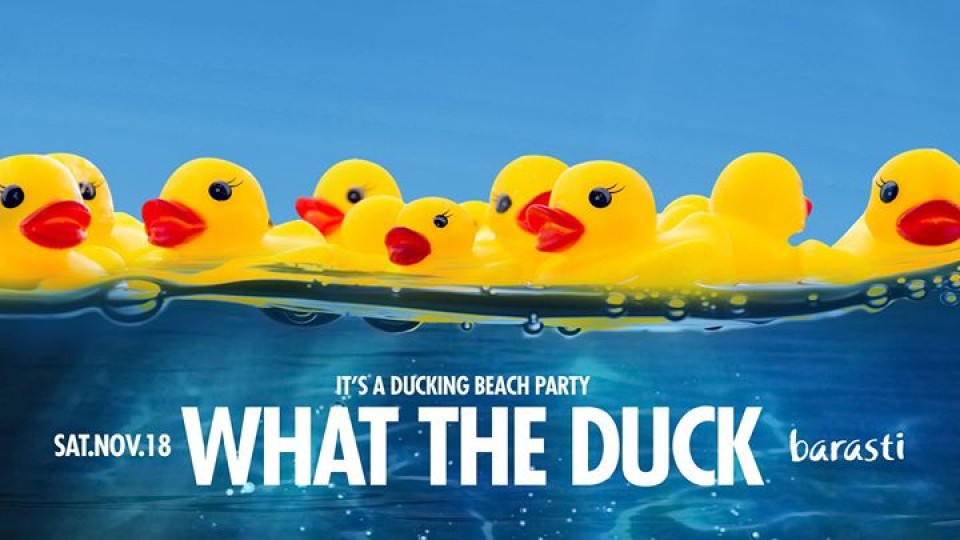 What The Duck Beach Party What The Duck Beach Party