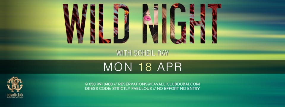 WILD NIGHT w/ Soheil Ray & Michka