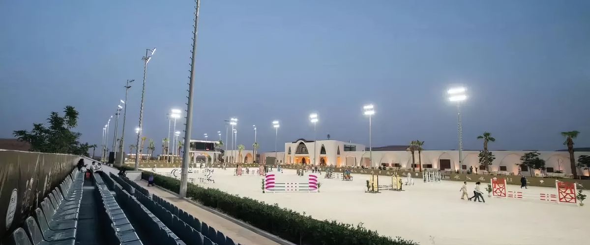 Horses Park Horses Park