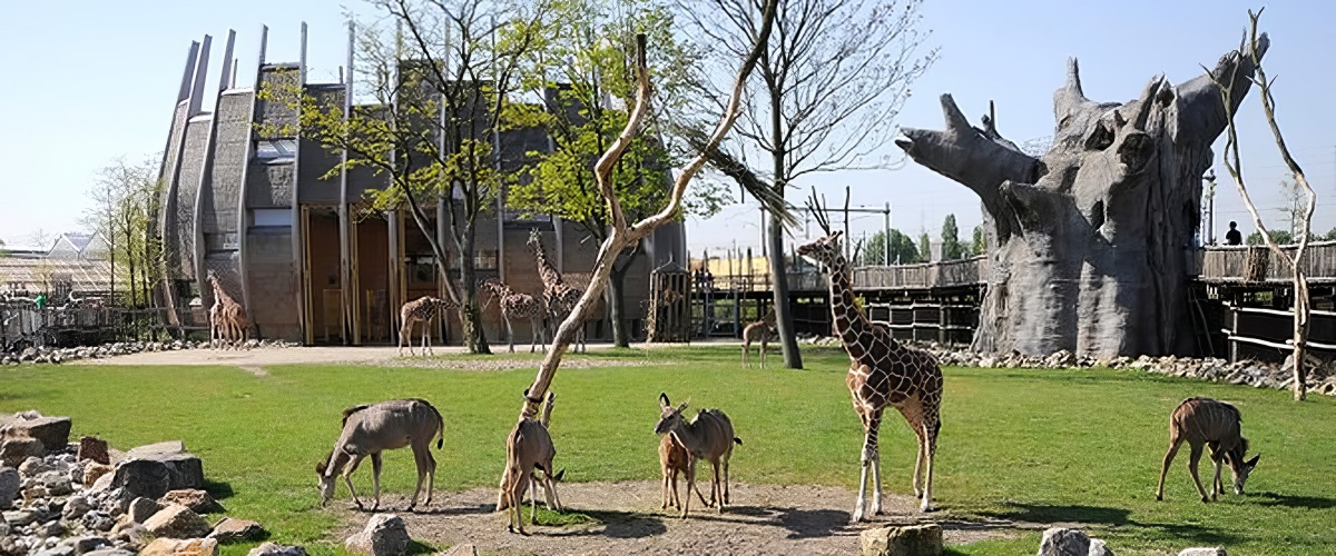 Blijdorp Rotterdam Zoo Blijdorp Rotterdam Zoo