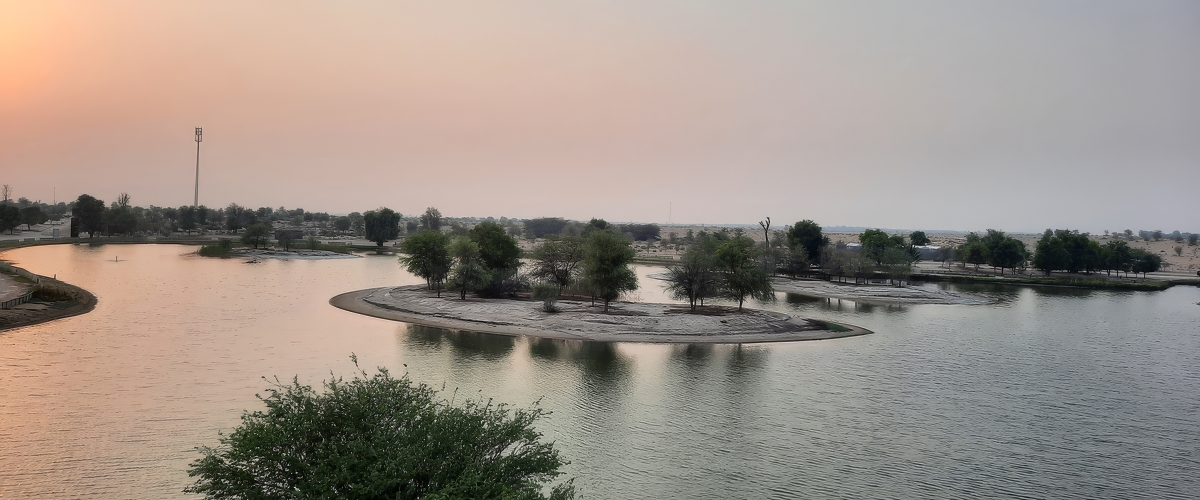 Al Marmoom Desert Conservation Reserve