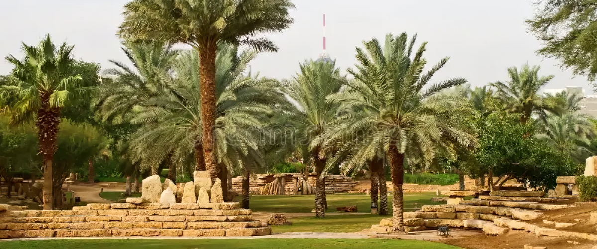 Riyadh Park